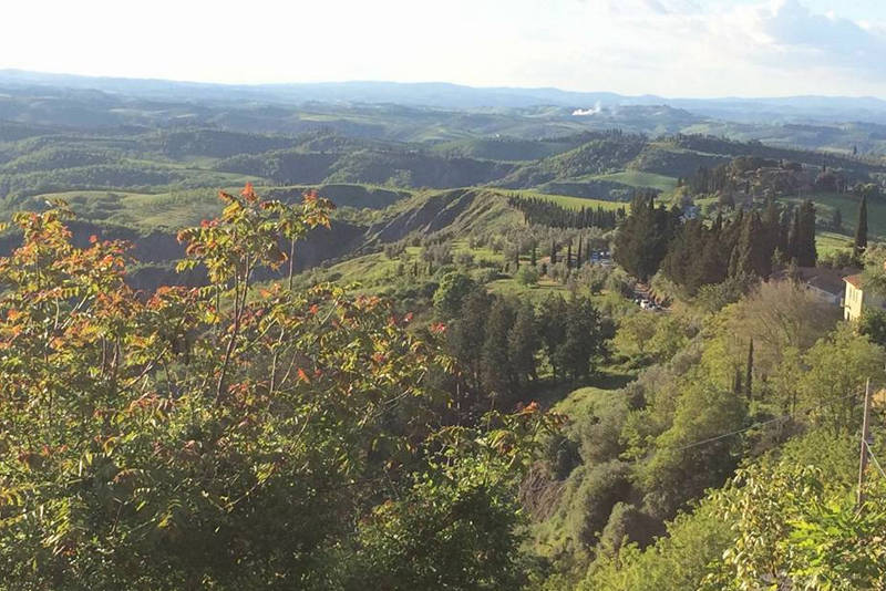 Agricola Altieri Toscana Arezzo allevamento fagiani e pernici rosse